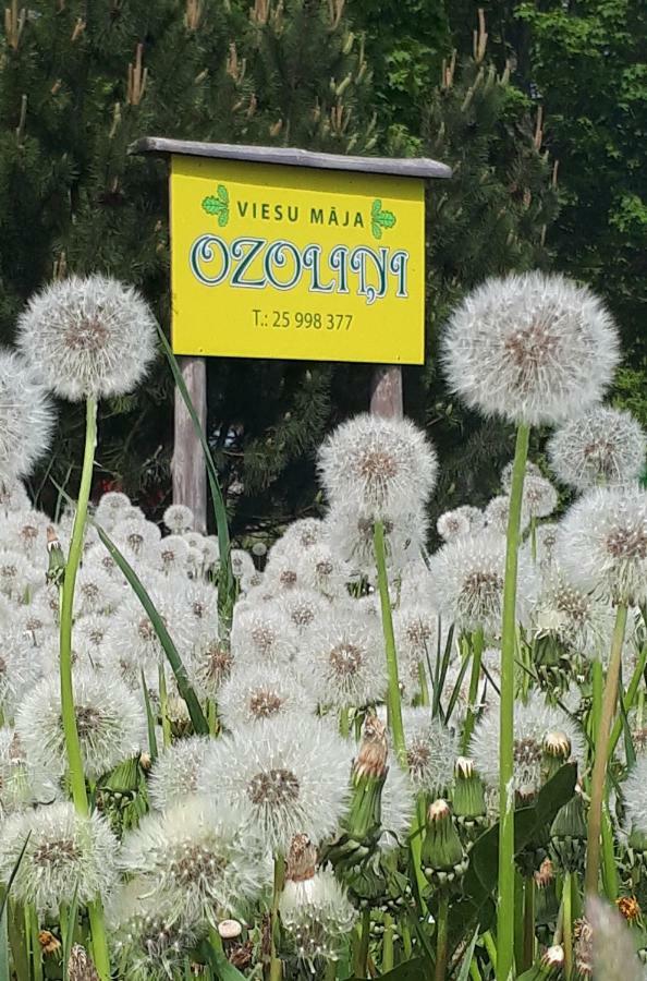 Viesu Maja "Ozolini" Villa Jurkalne Exteriör bild